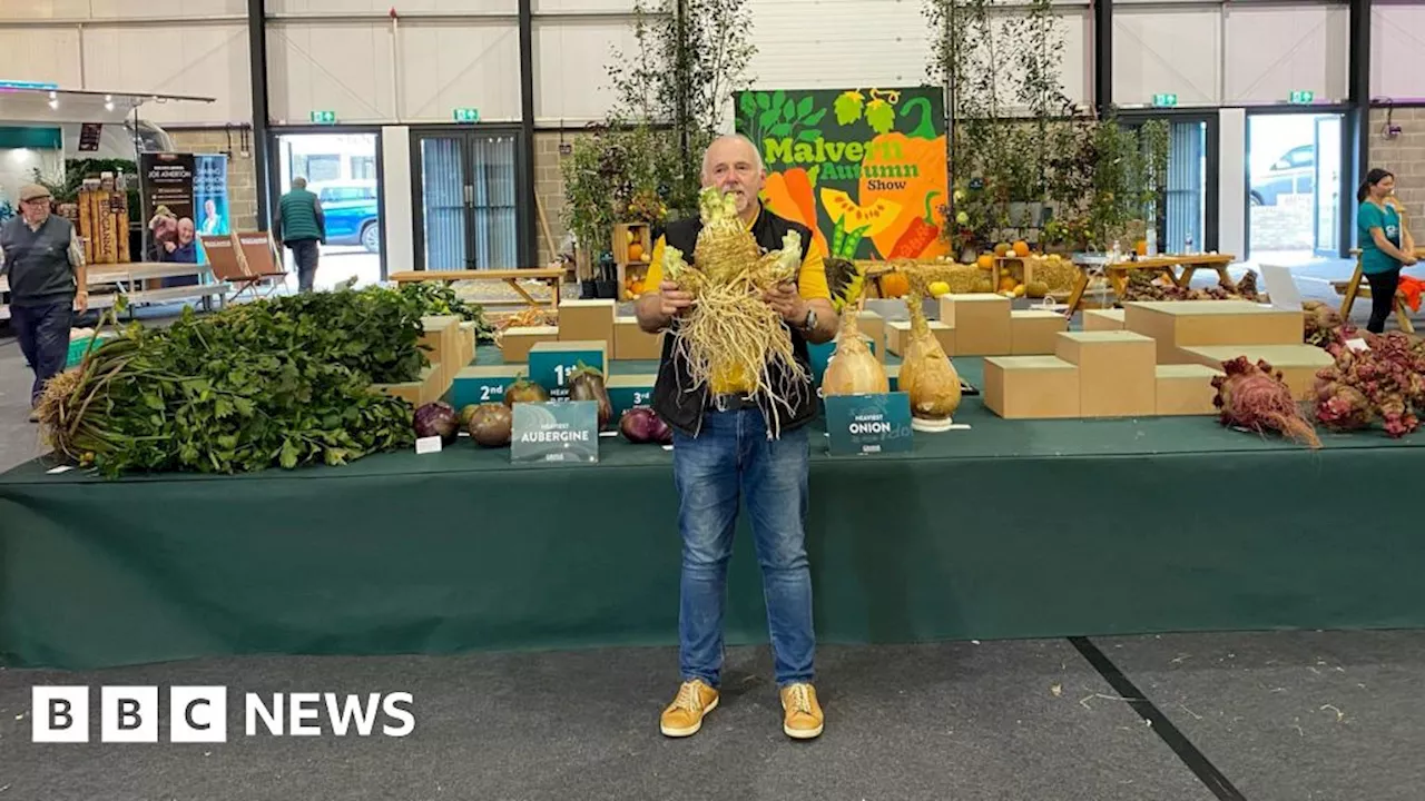 Gloucester gardener grows world record breaking celeriac