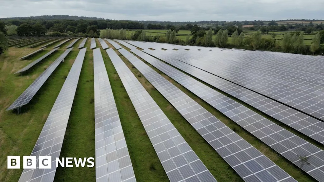 Norfolk expert: Solar farms 'vital' for UK's energy security