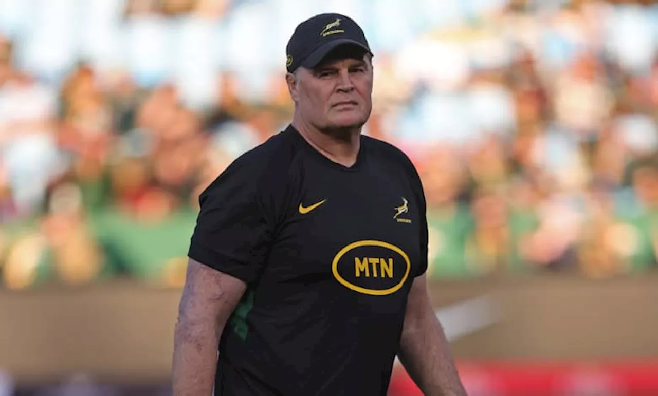 Michael Cheika: Rassie building a Bok ‘monolith’