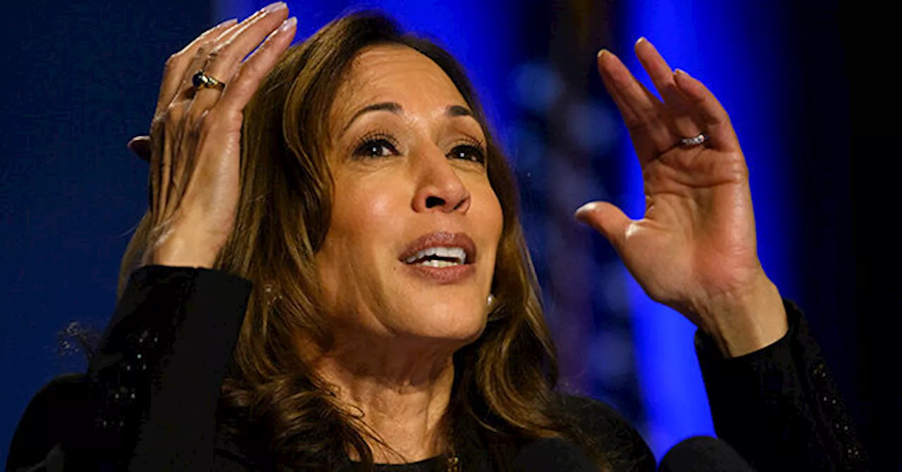 Kamala Harris's Word Salad Speech Roasted Online