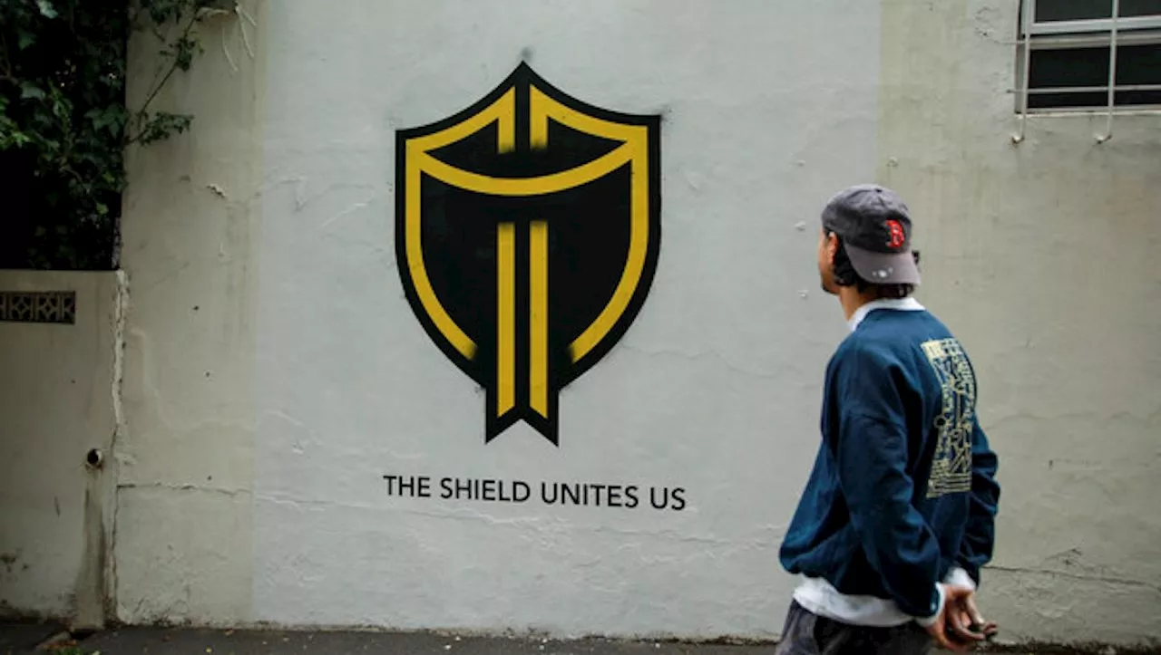 Baffled residents in Green Point spot mysterious shield mural