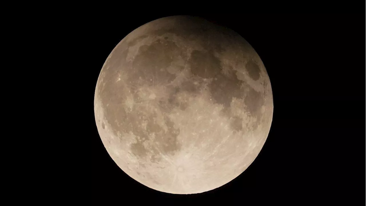 Earth will have a temporary ‘mini moon’ for two months