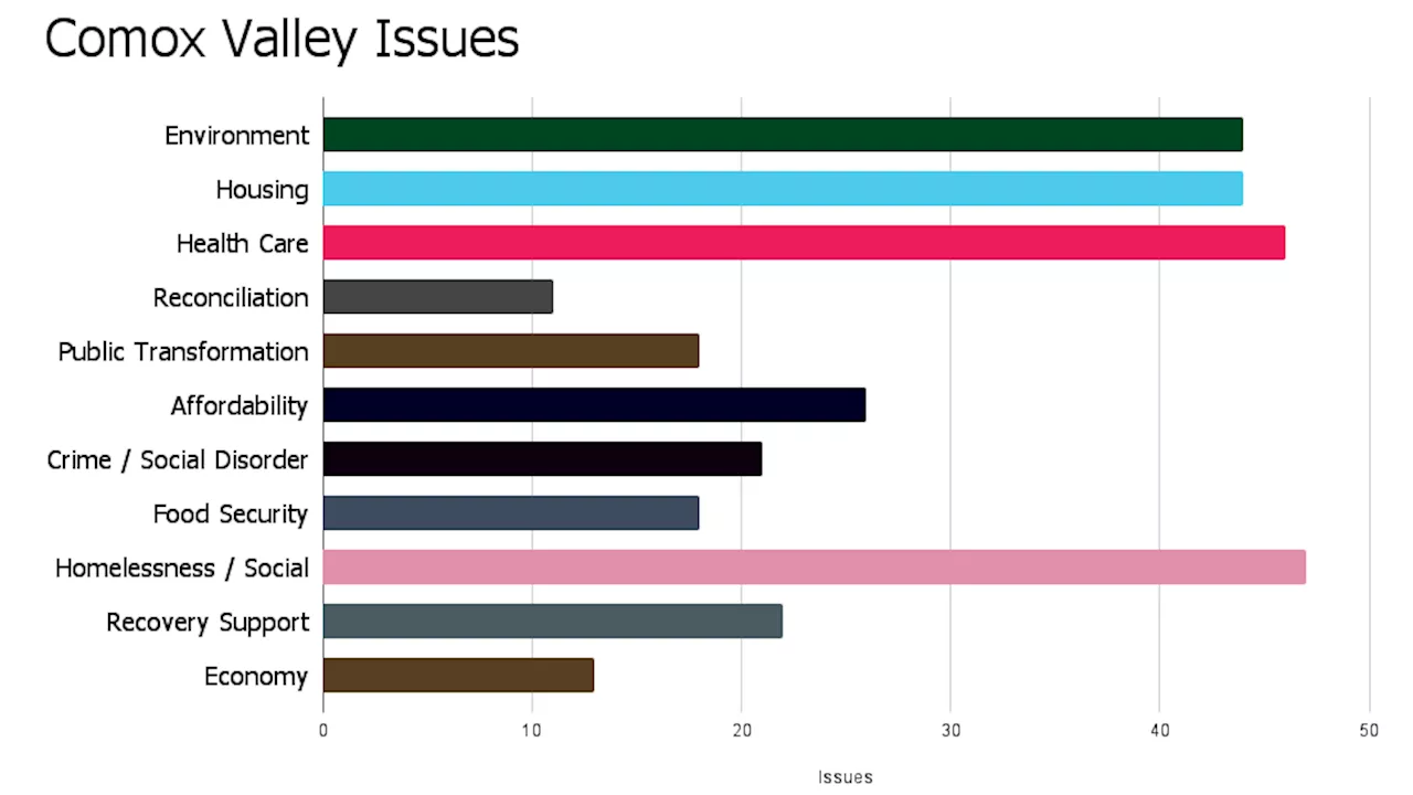 What B.C. election issues are top of mind in the Comox Valley?