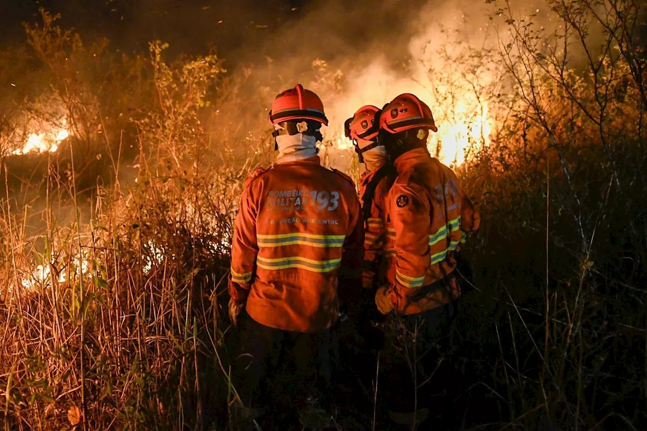 Ibama multa fazendeiros que causaram incêndio no Pantanal em R$ 100 milhões