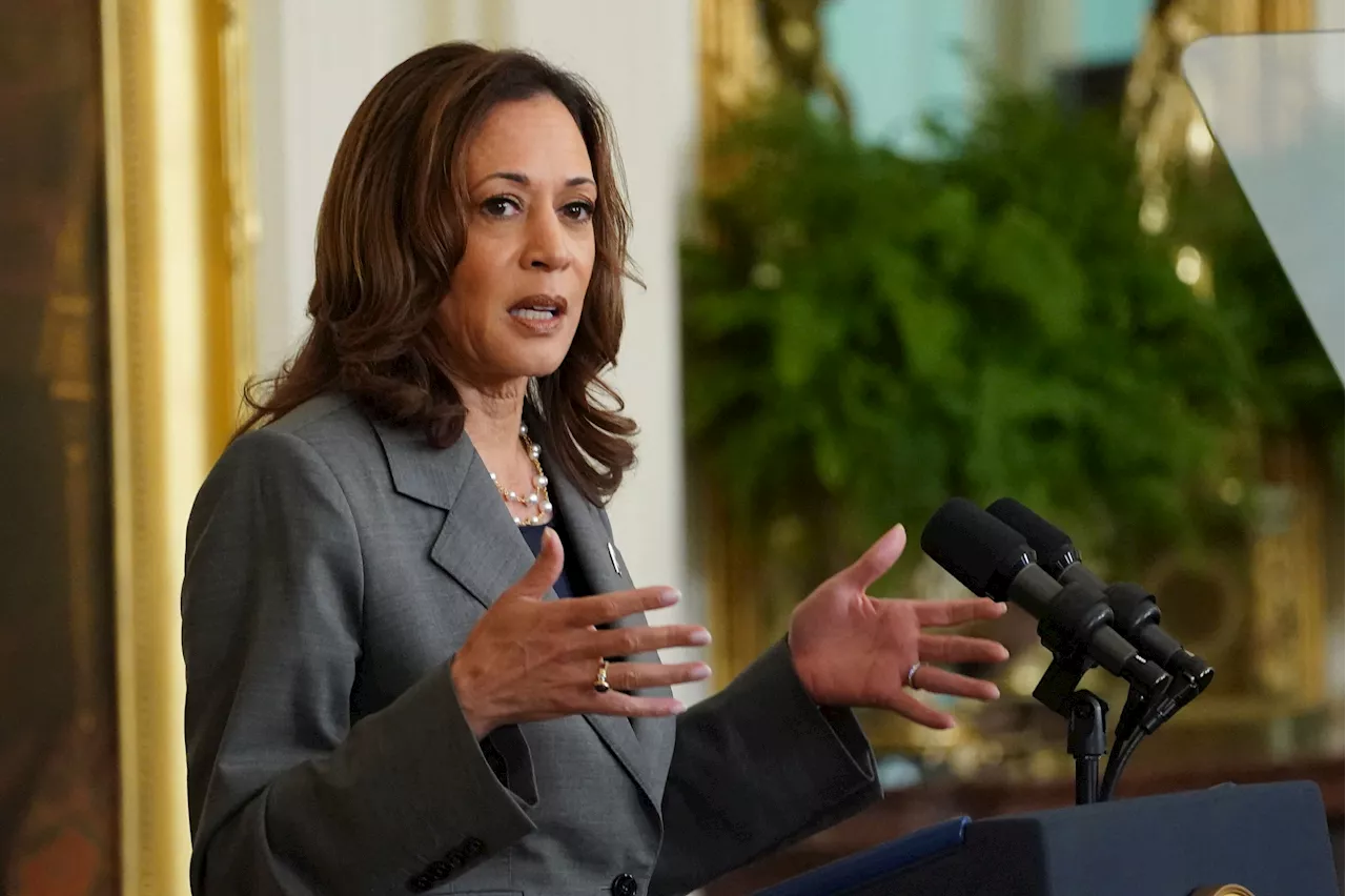 Kamala Harris vai à fronteira dos EUA e deve focar em imigração