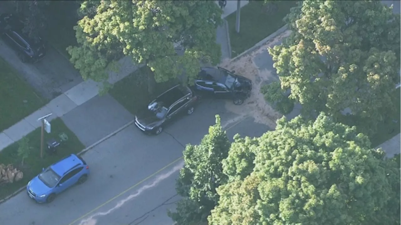 Woman sustains critical injuries after slamming vehicle into tree in Etobicoke