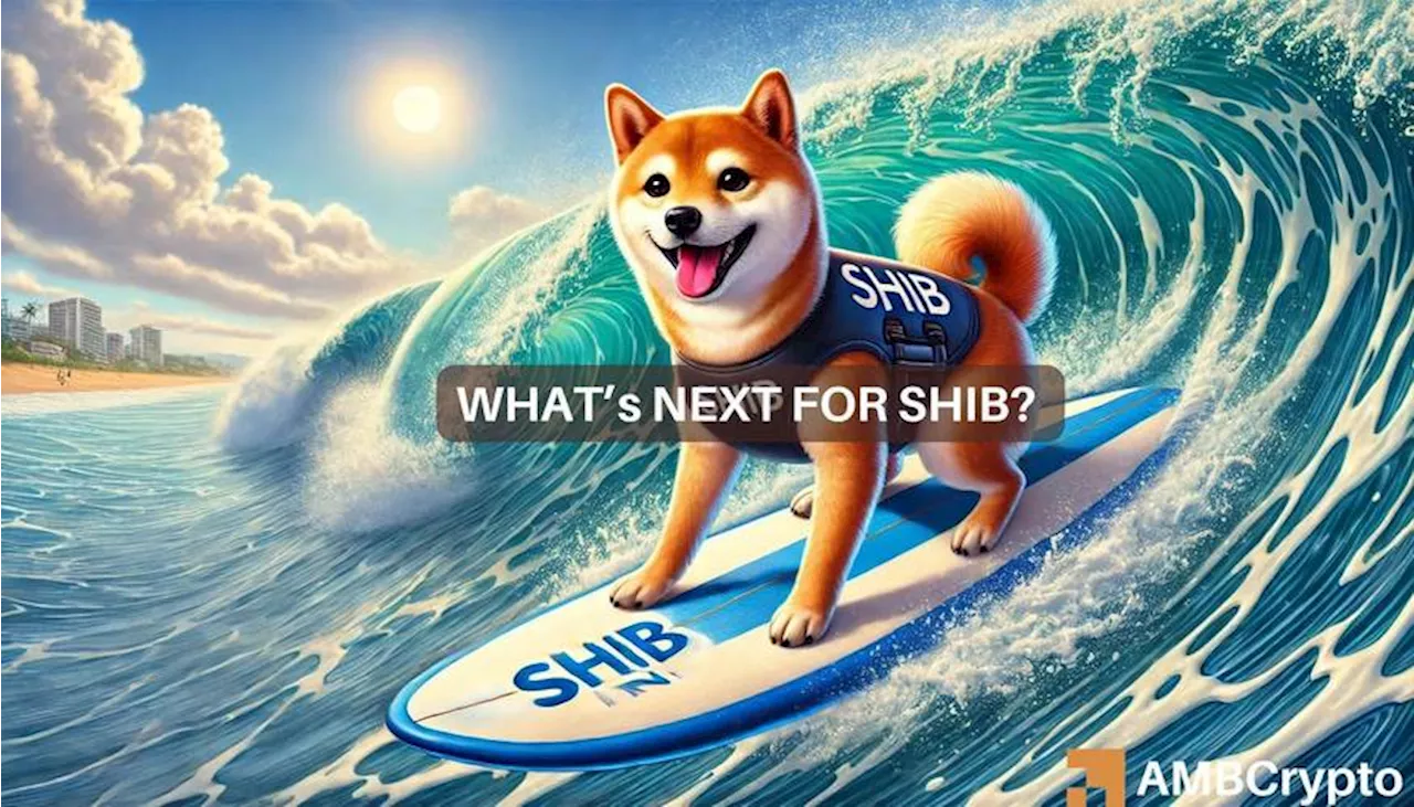 Mapping Shiba Inu’s price prediction as SHIB rallies 12% in 24 hours