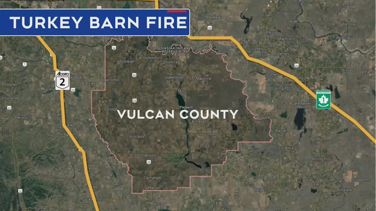 Thousands of baby turkeys killed in Vulcan County barn fire Canada