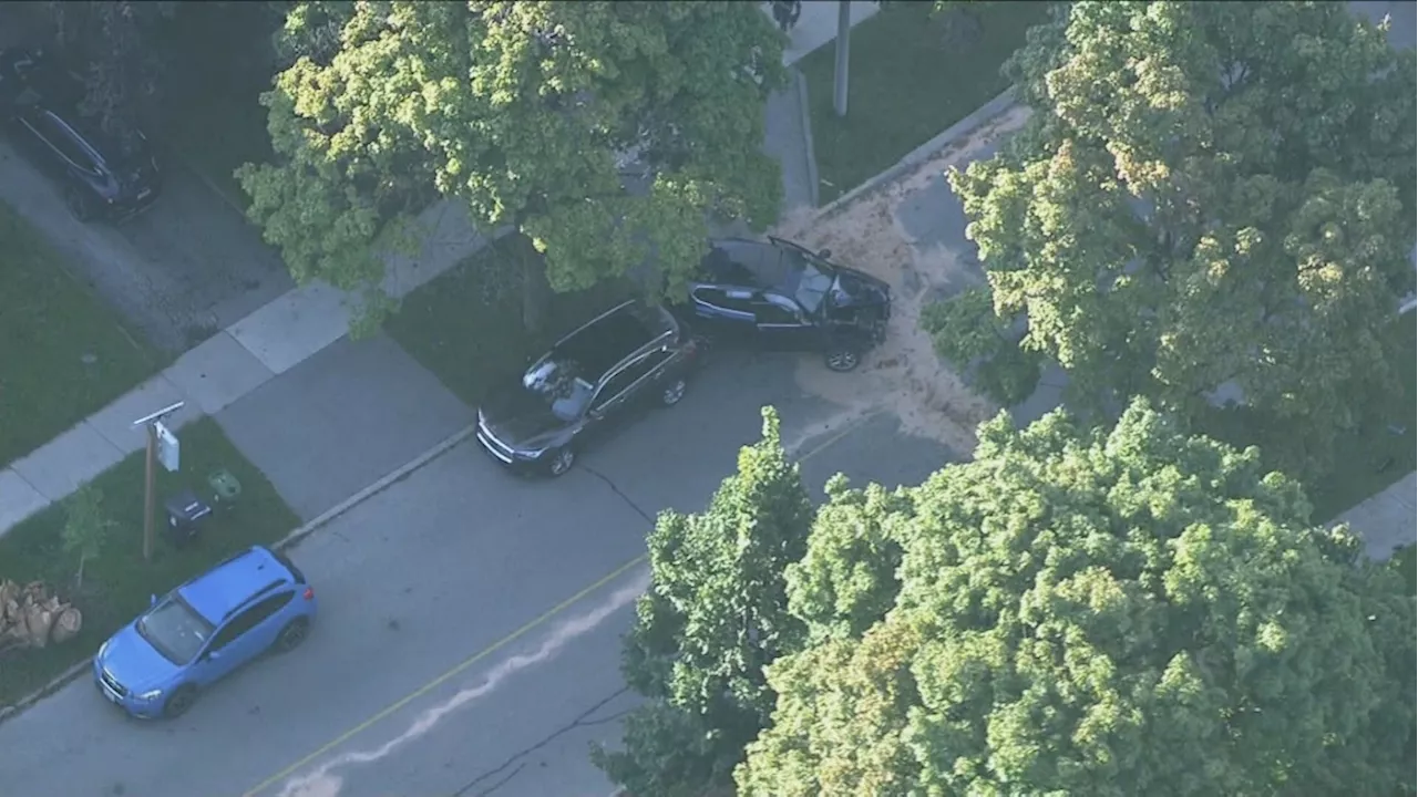 Woman sustains critical injuries after slamming vehicle into tree in Etobicoke