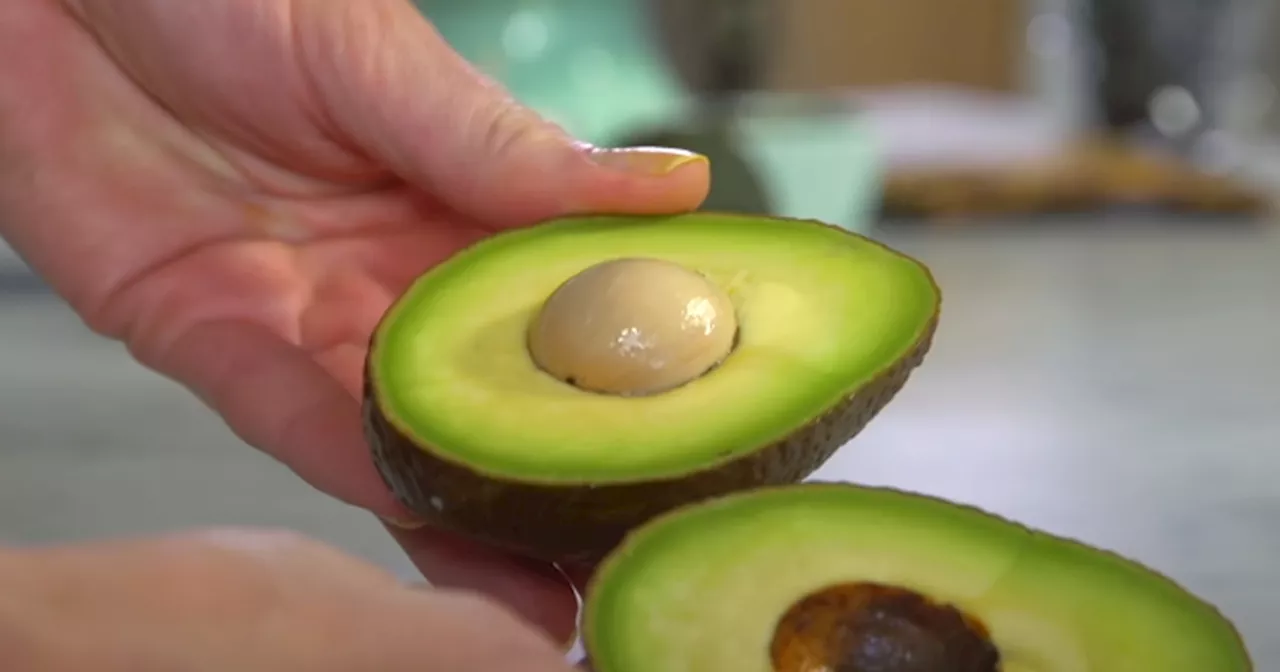 Træt af hårde og umodne avocadoer? Smart trick modner frugten på få minutter