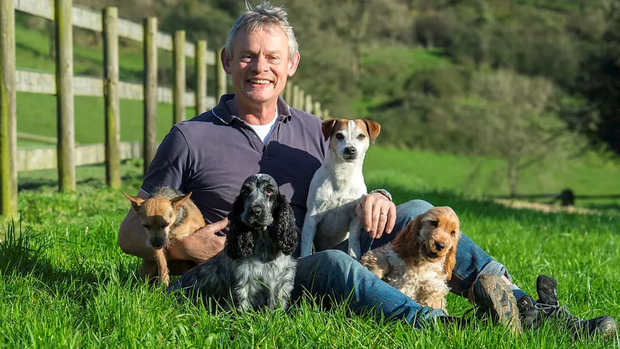 Not what Doc Martin ordered! Blow to Martin Clunes in his battle to stop traveller site near his £5m...