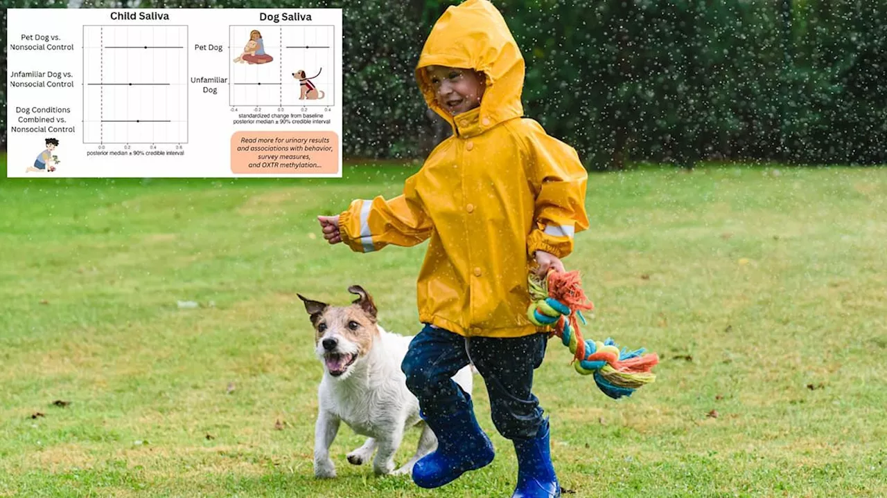 Playing With Dogs Boosts 'Love Hormone' In Children