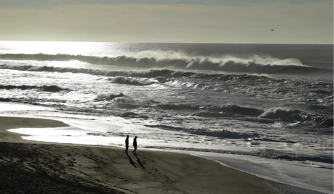 GOP consultant finds fame in disaster coverage challenging climate change