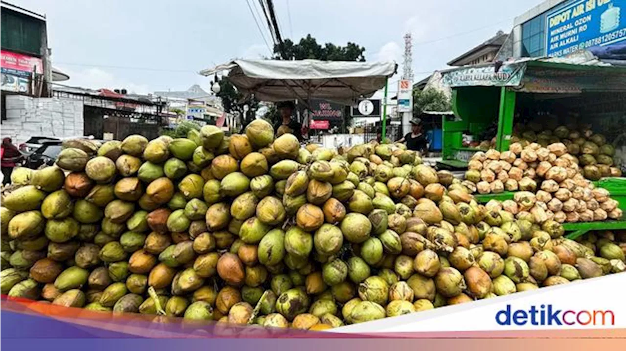 Bappenas Ungkap RI Punya Potensi Komoditas Raksasa tapi Masih 'Tertidur'