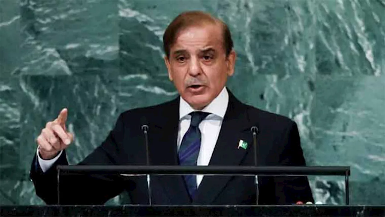 PM Shehbaz demands immediate end to Gaza war at UNGA