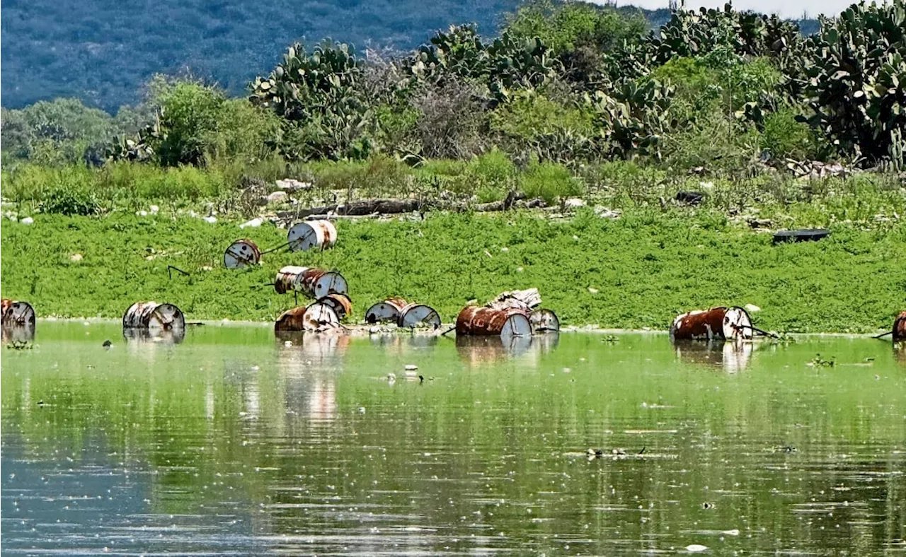 Publican en el DOF declaratoria de restauración ecológica en presa Endho en Hidalgo