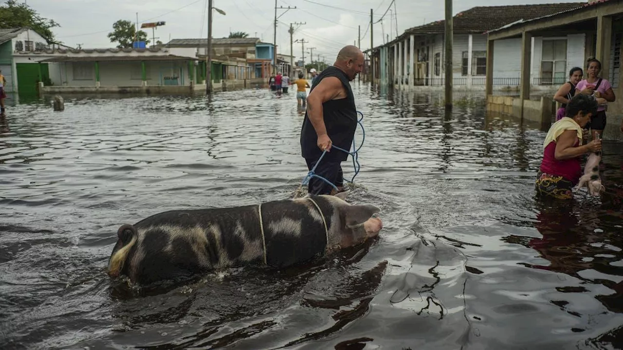 Huracán Helene se degrada a tormenta tropical en Estados Unidos: deja varios muertos y destrozos