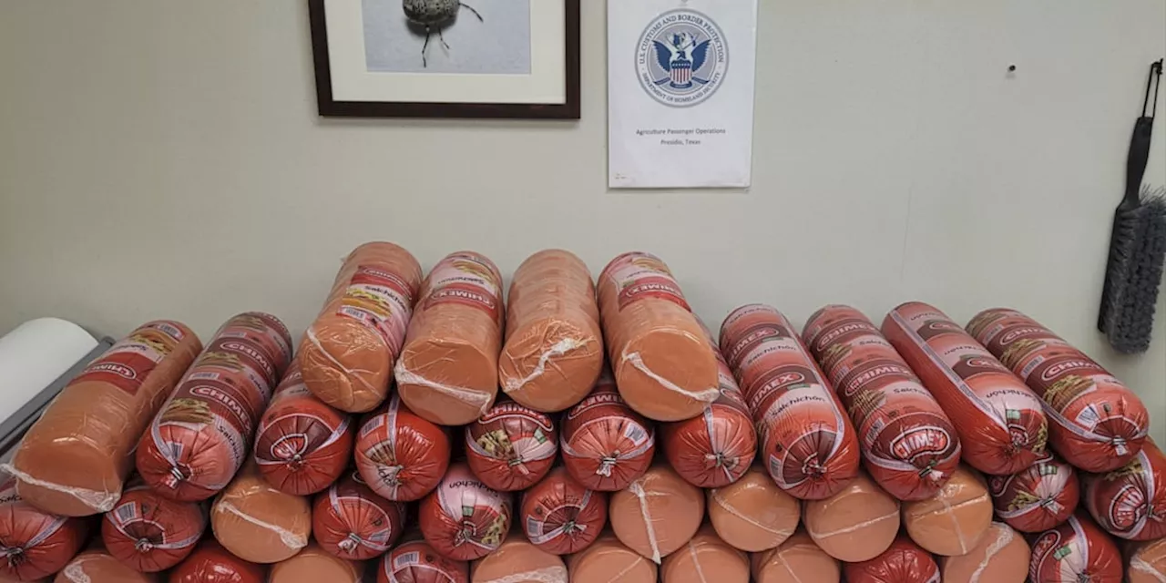 Woman Caught With Over 700 Pounds of Bologna, Prescription Drugs at Mexico Border