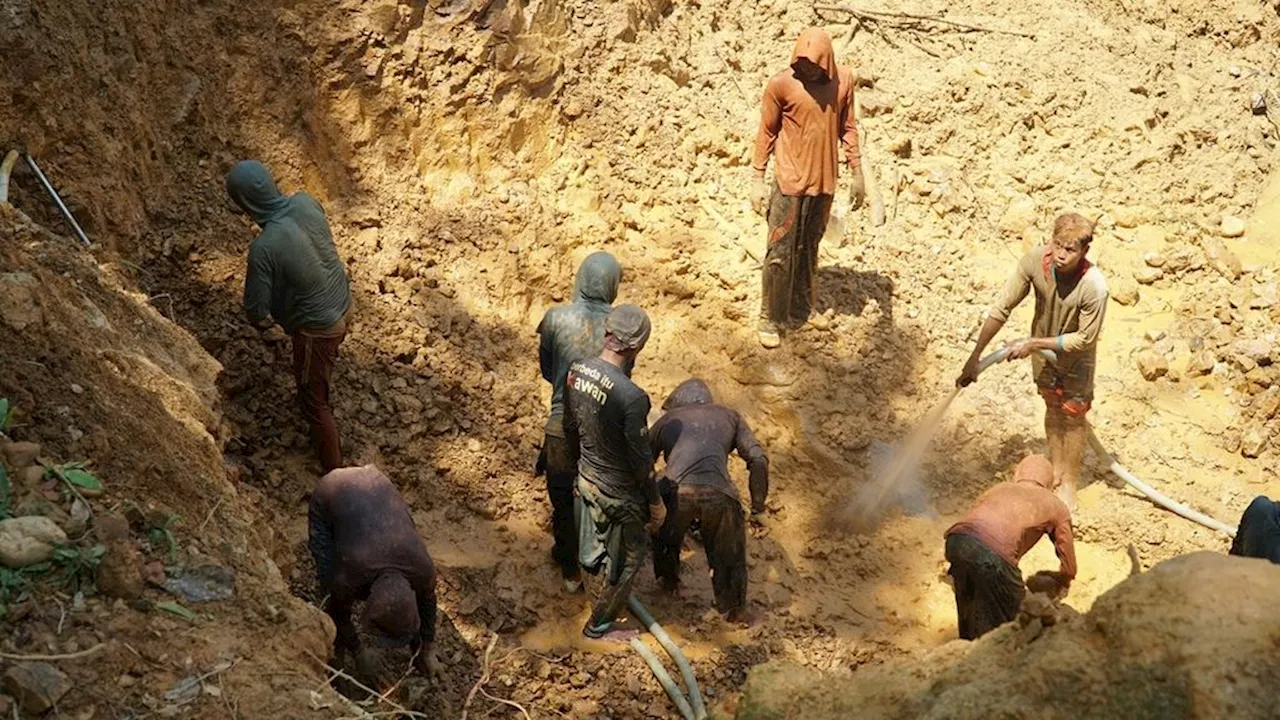 BPBD Koreksi Data Korban Tambang Emas Ilegal di Kabupaten Solok