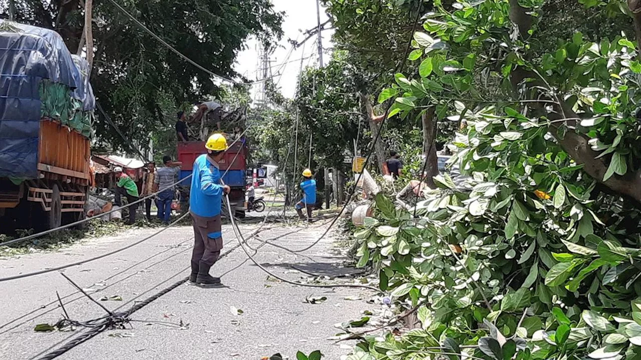 Hujan Deras hingga Angin Puting Beliung Mengintai Lampung