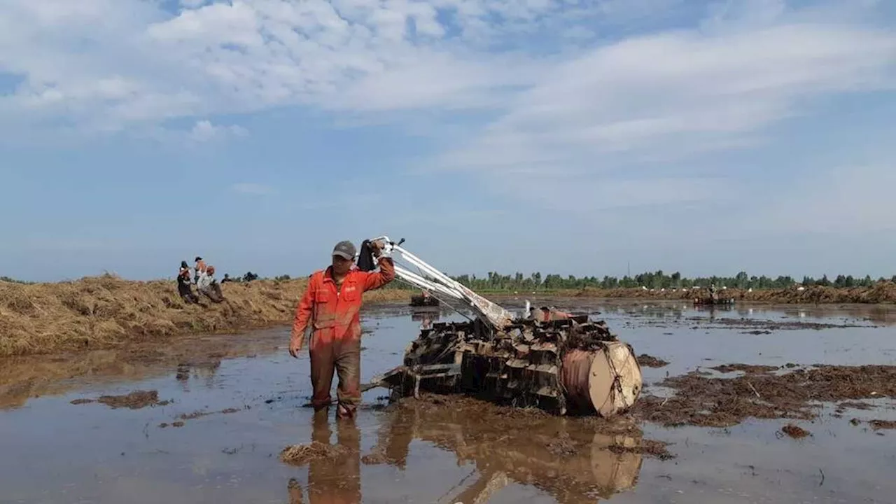 Masa Depan Lumbung Pangan di Pundak Ribuan Pemuda Indonesia