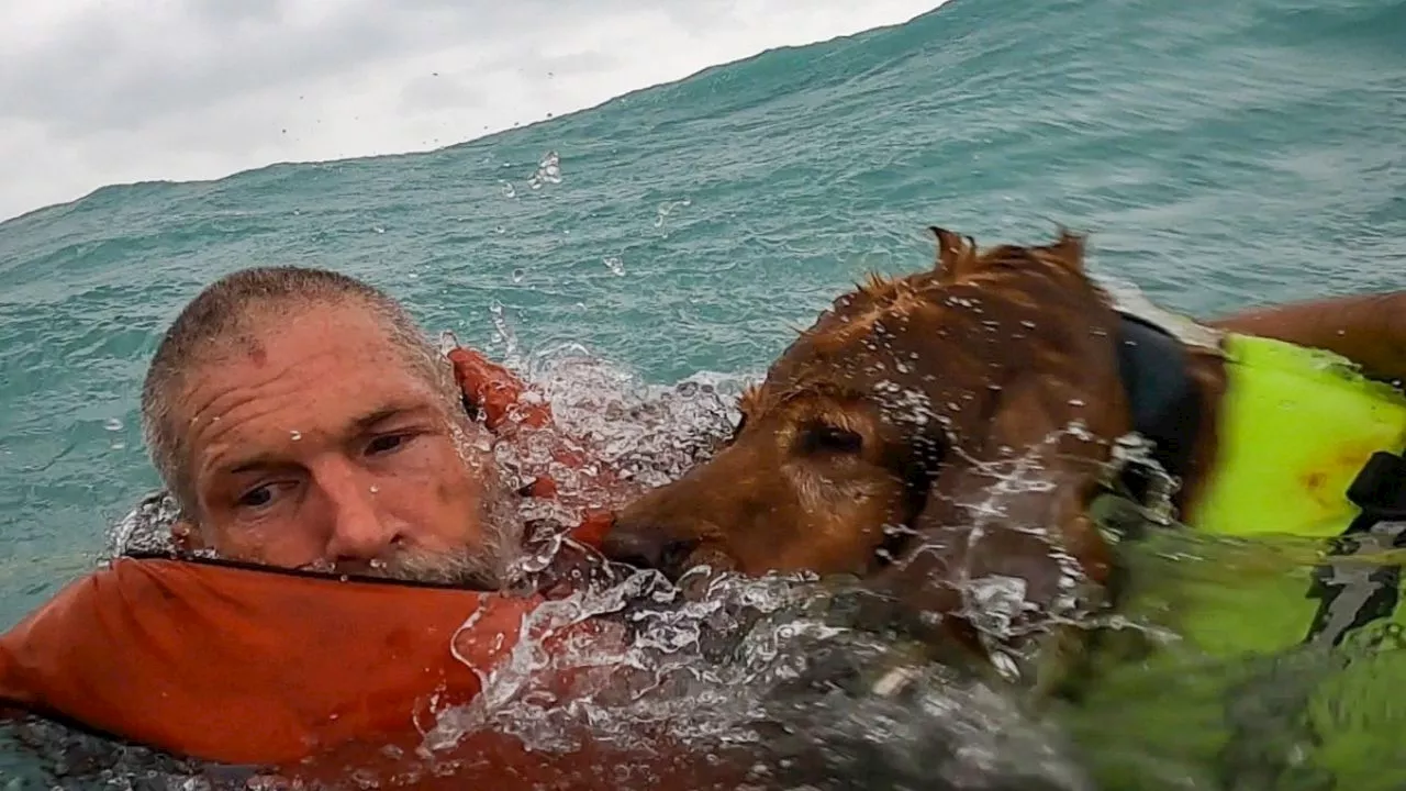 VIDEO: el conmovedor rescate de un hombre y su perro en el Golfo de México en medio del huracán Helene