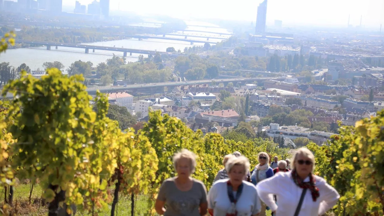 – Beim Weinwandern hat man die Wahl