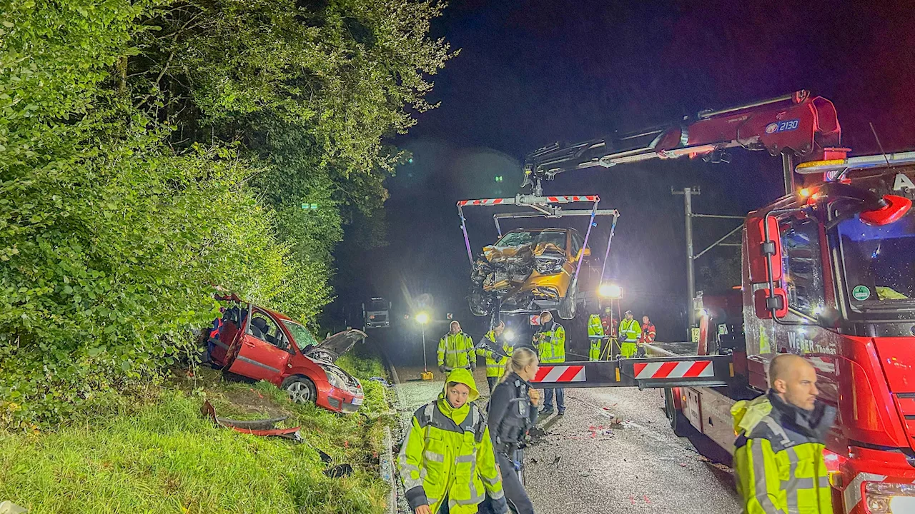 Zwei Kinder sterben bei Horror-Crash auf Landstraße