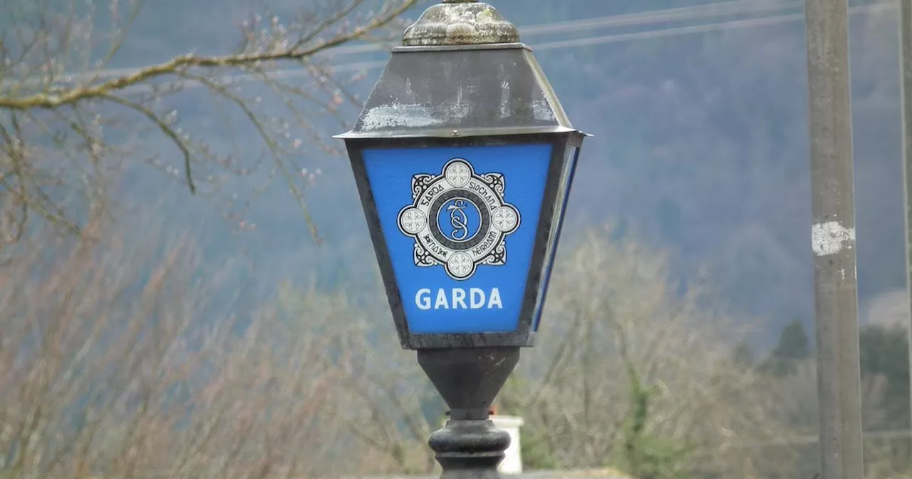 Body found at recycling plant in Dublin as Gardai seal off the scene