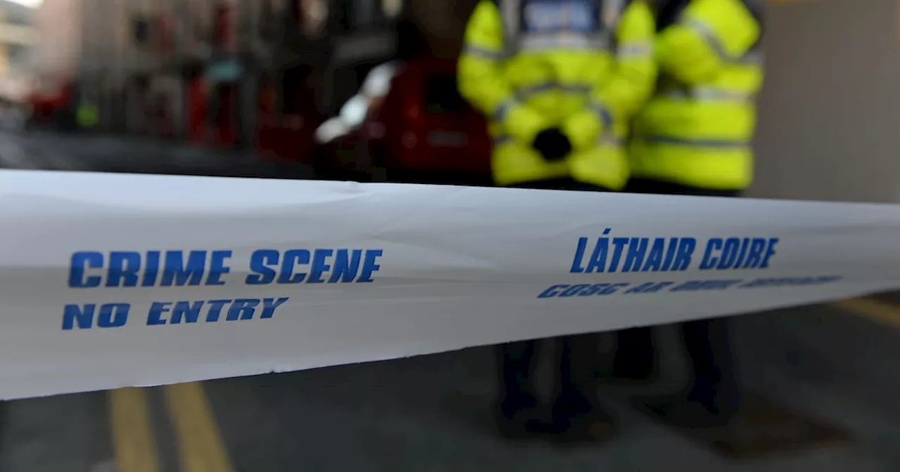 Gardaí arrest eight people after woman held hostage and tortured in Dublin flat