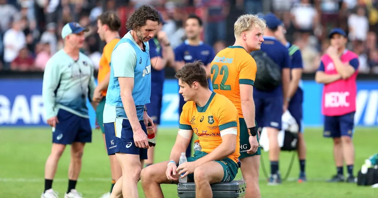 Matt Williams: The push to select global Wallabies to face Lions is gaining momentum