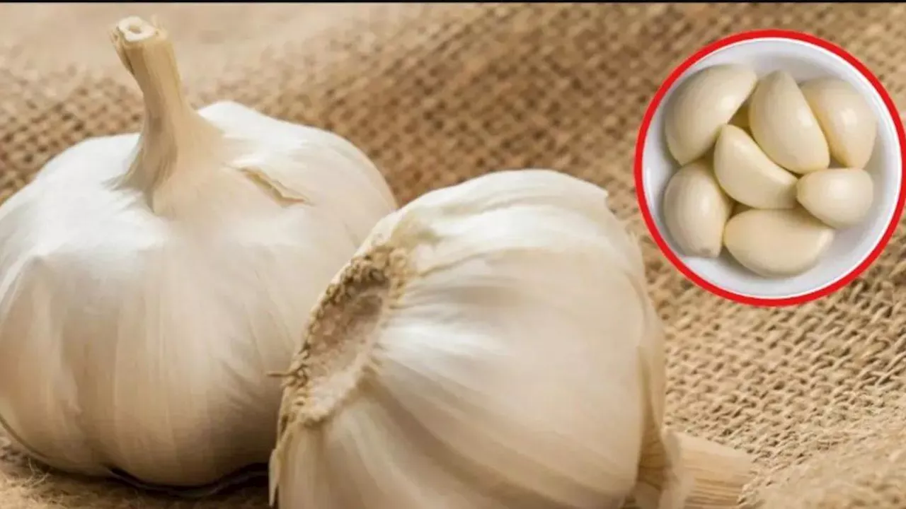 Chinese Garlic: चाइनीज लहसुन की बिक्री पर हाई कोर्ट सख्‍त, यूपी सरकार से पूछा सवाल; आज फ‍िर सुनवाई