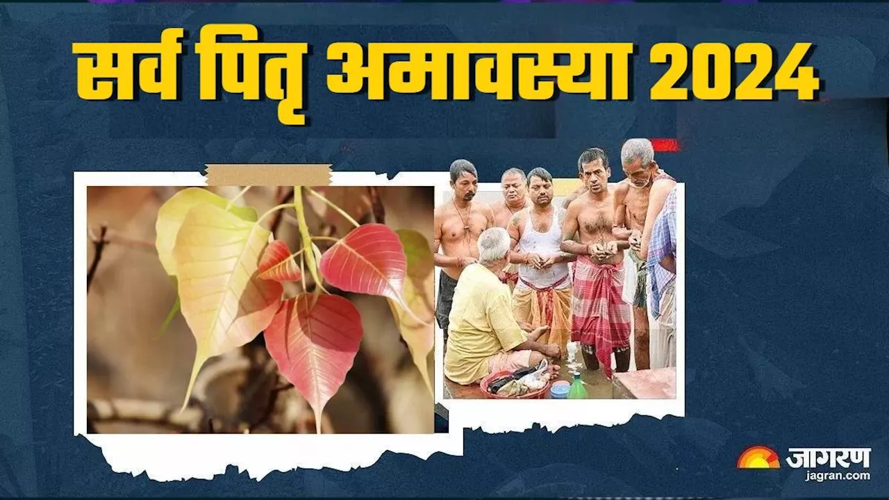 Sarva Pitru Amavasya 2024: सर्वपितृ अमावस्या पर लगाएं ये पेड़-पौधे, पितरों की कृपा से नहीं रहेंगे वंचित