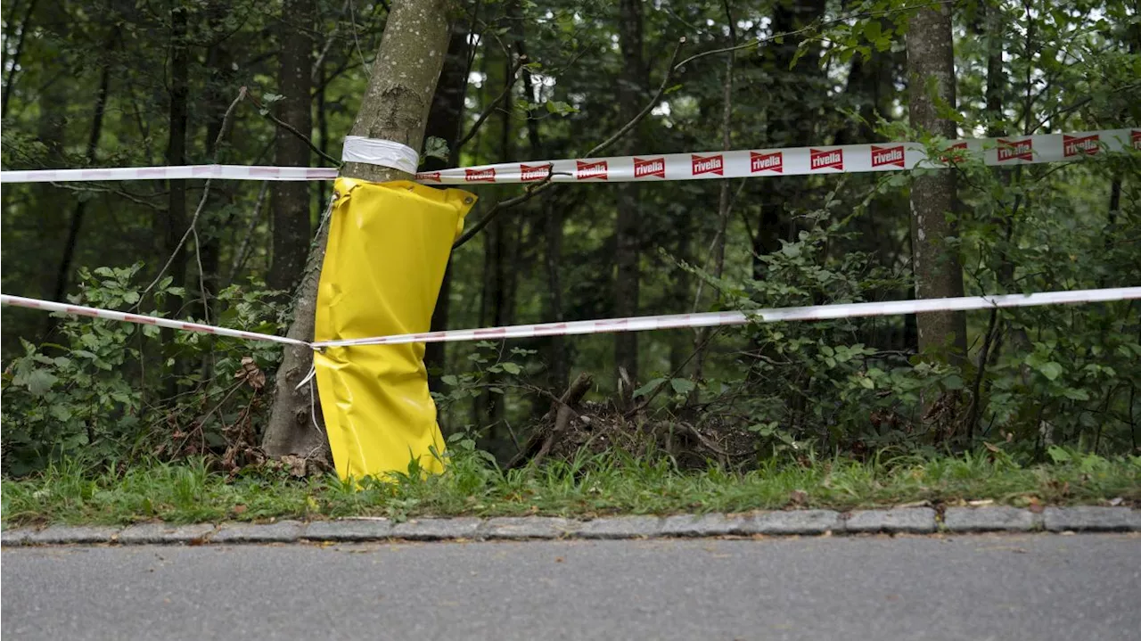 Mondiaux de cyclisme : une jeune cycliste suisse décède après une grosse chute