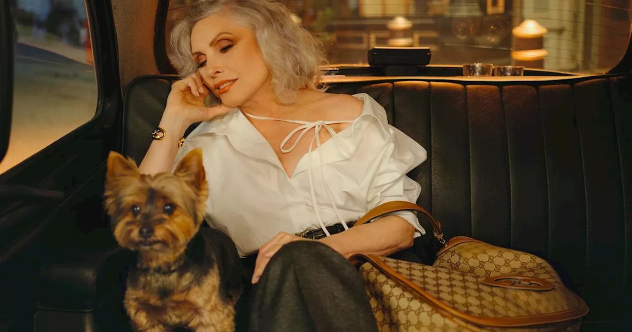 Devant l’objectif de Nan Goldin : la pop star de Blondie, un chien et un sac Gucci