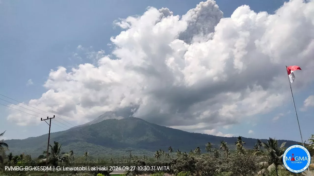 Gunung Lewotobi Laki-Laki Erupsi, Kolom Abu Capai 1.000 Meter, Warga Diimbau Patuhi Radius Bahaya