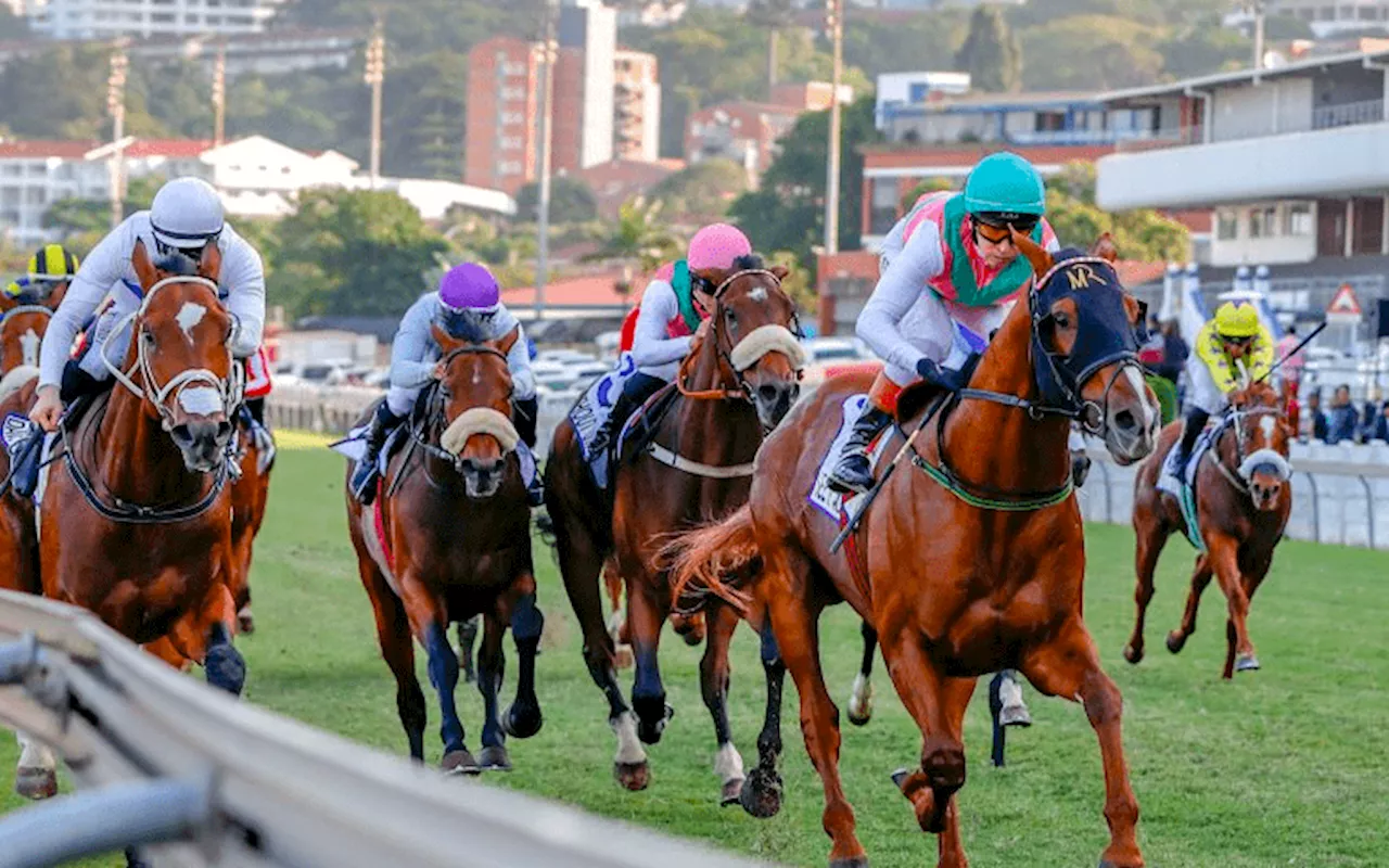 A guide to South African horse racing: Tradition, excitement, and how to get involved