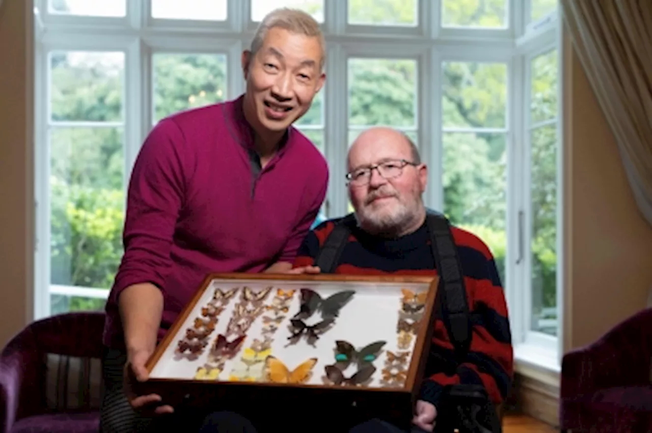 Ailing New Zealand butterfly collector donates 20,000 specimens to museum as illness advances