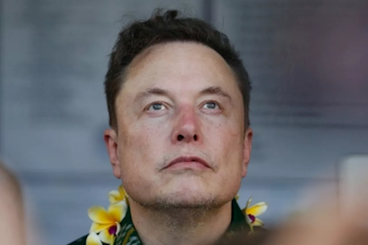 Elon Musk lashes out with paedophile claims again after missing out on UK summit invite