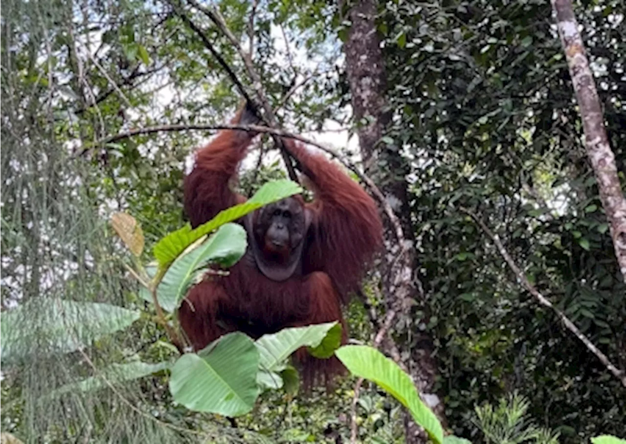 Sarawak immersive offering: This is Malaysia’s tourism future — Khairul Anwar Zulkifly Tony