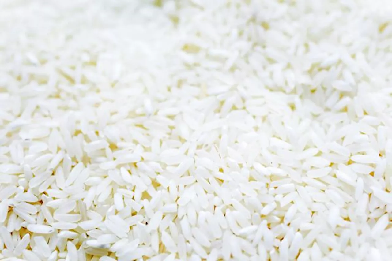 Northern Samar, firm partner to hike rice production