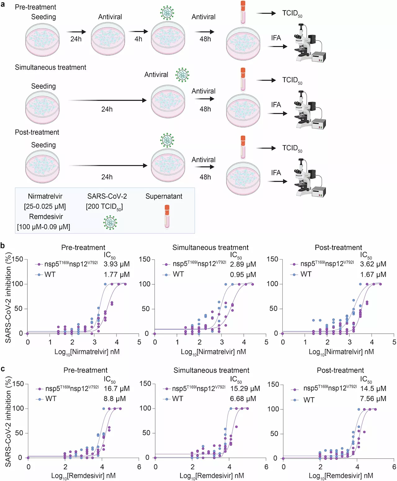 Two studies find SARS-CoV-2 virus becoming resistant to antiviral drugs used to treat patients