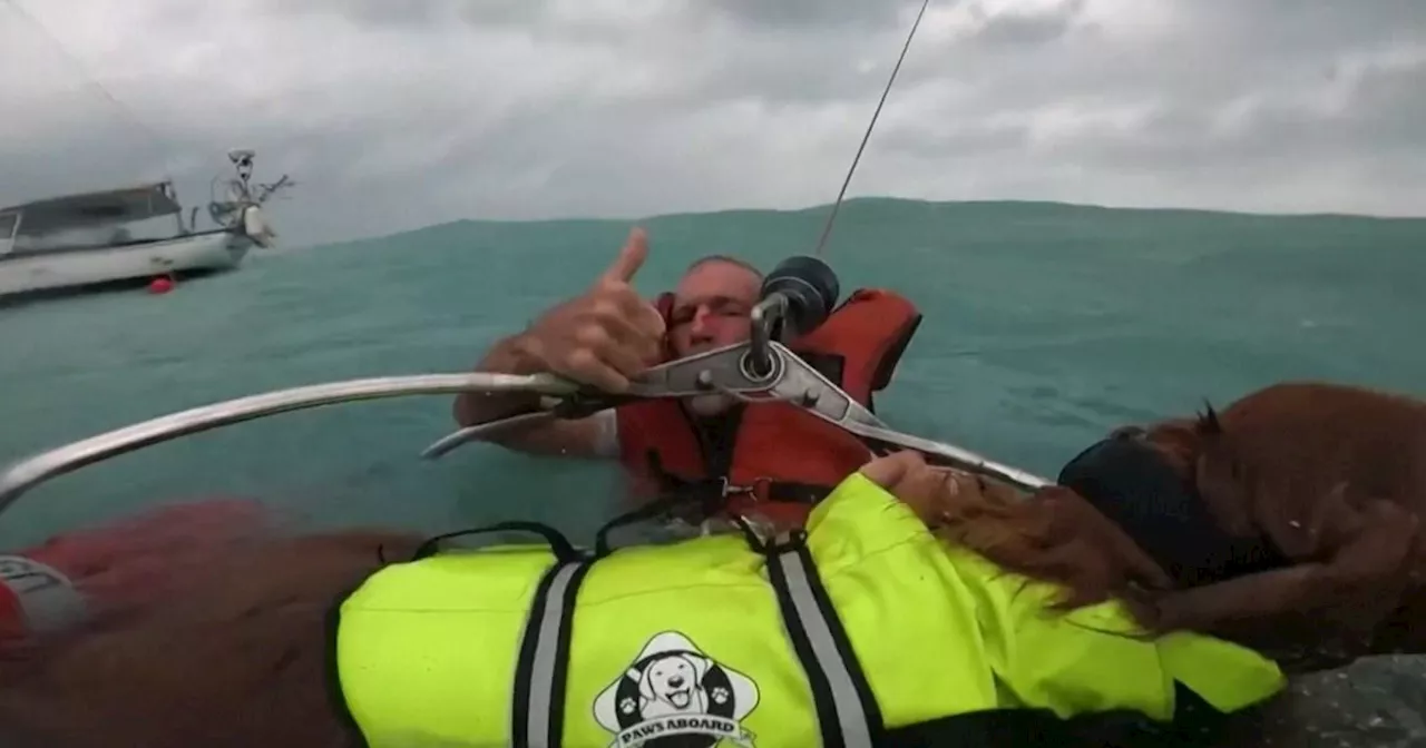 Moment sailor and his dog rescued from sinking boat during Hurricane Helene