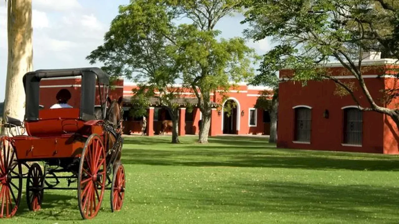 Escapadas: cinco destinos ideales para ir a comer y conectar con la naturaleza en Buenos Aires