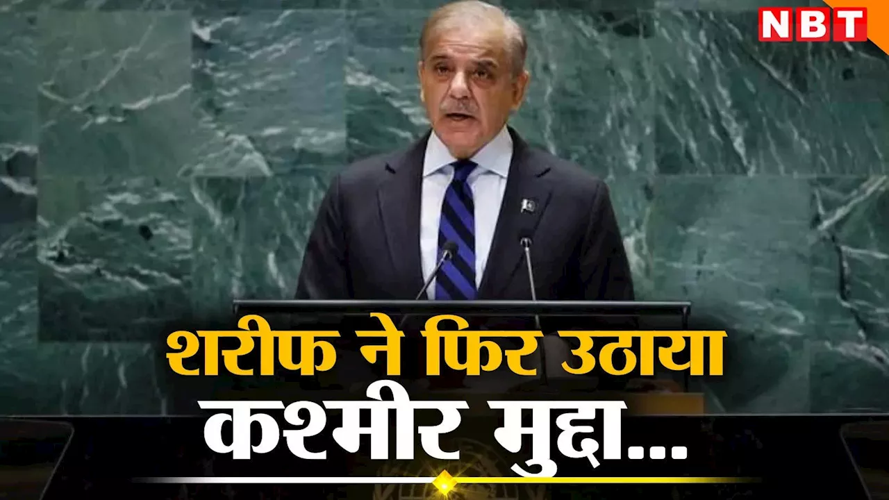 भारत को बहाल करना होगा आर्टिकल 370... संयुक्त राष्ट्र में शहबाज शरीफ ने कश्मीर पर उगला जहर, बुरहान वानी को किया याद