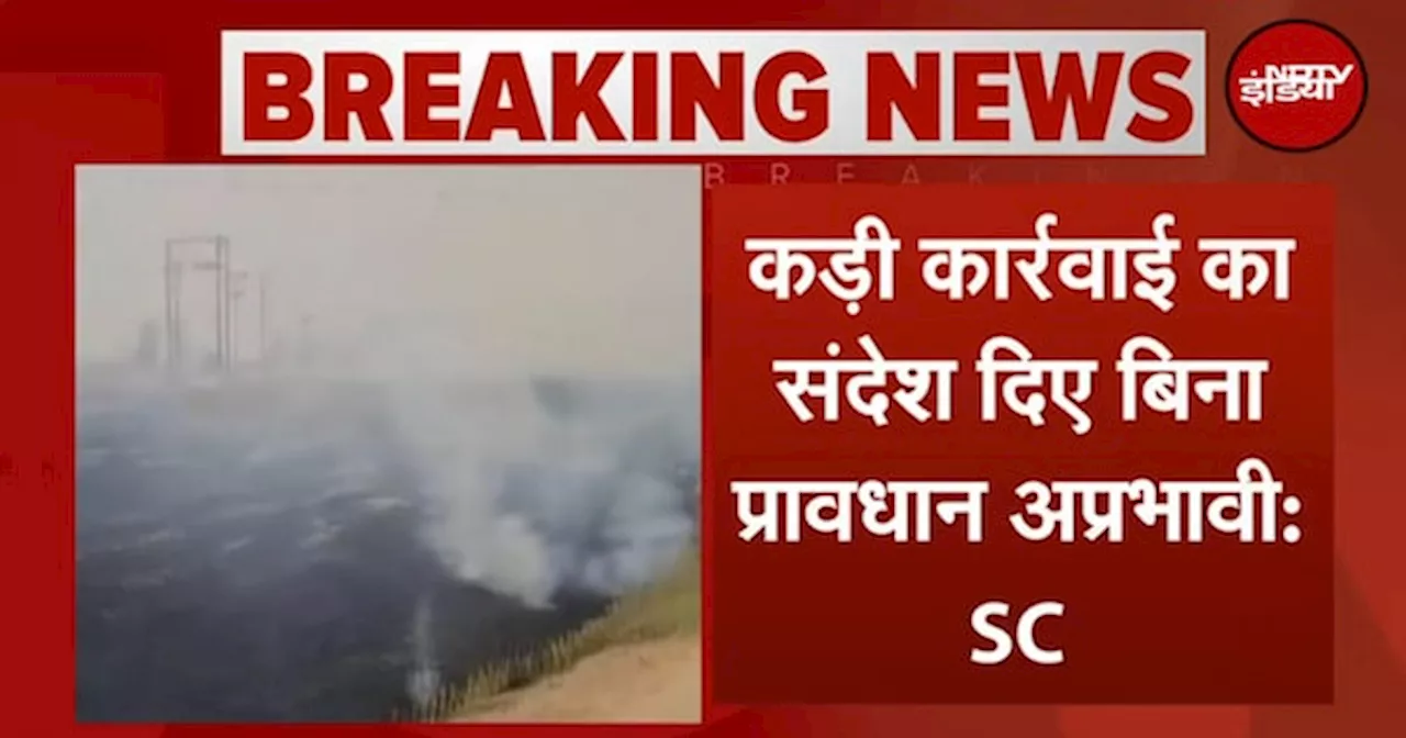 Air Pollution: SC का CAQM से सवाल 'आप पराली जलाने के खिलाफ प्रभावी कार्रवाई क्यों नहीं कर रहे'