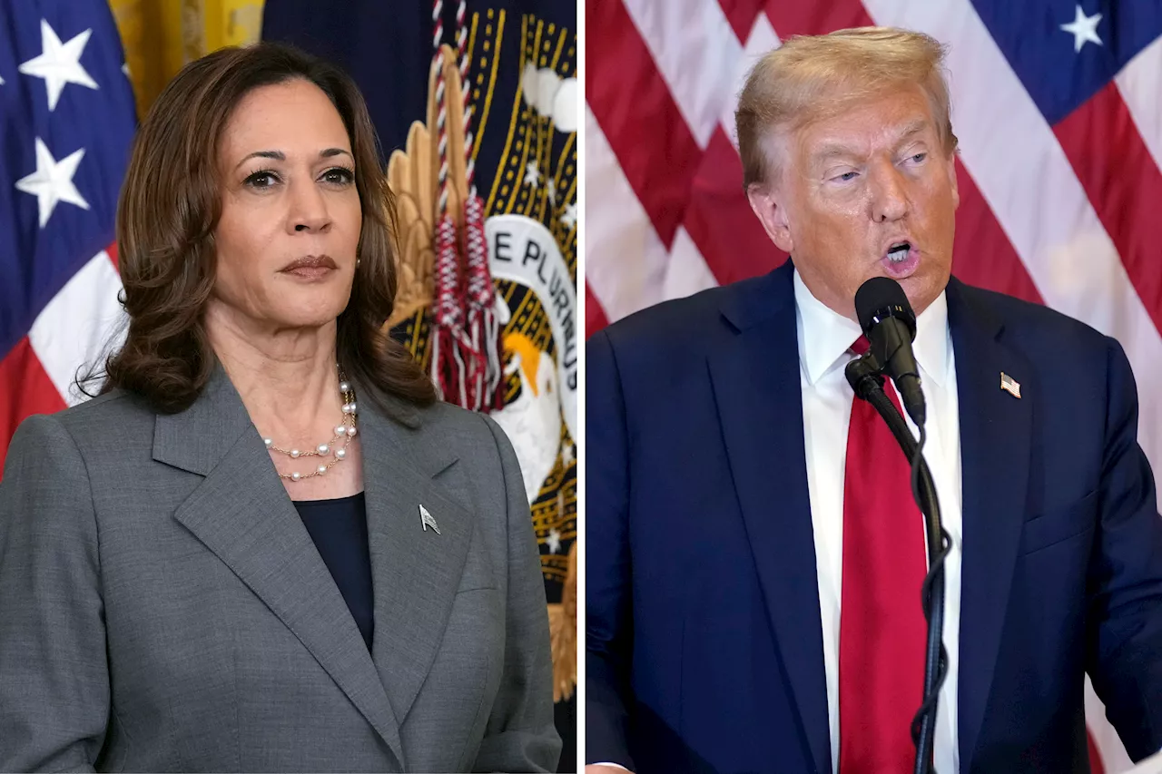 Where Kamala Harris and Donald Trump Differ on Immigration, Border Control