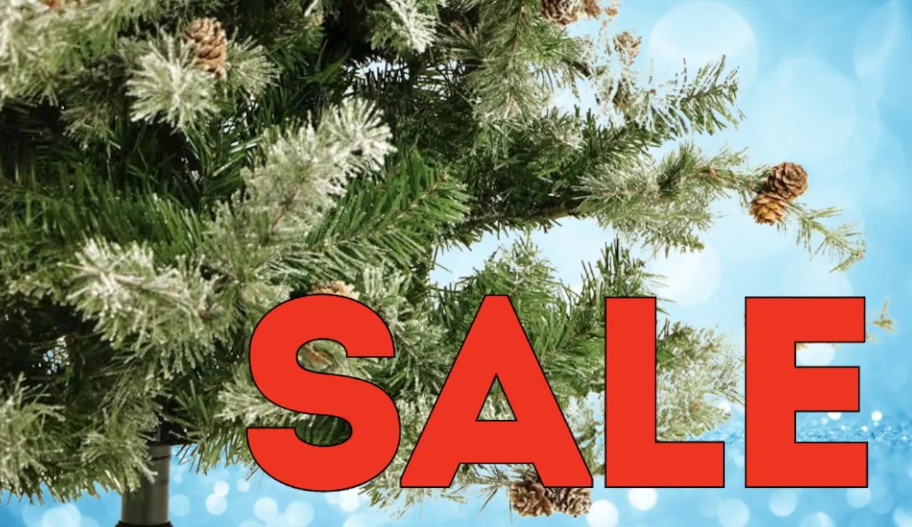 Forget Halloween! Amazon already has artificial Christmas trees on sale up to 31% off