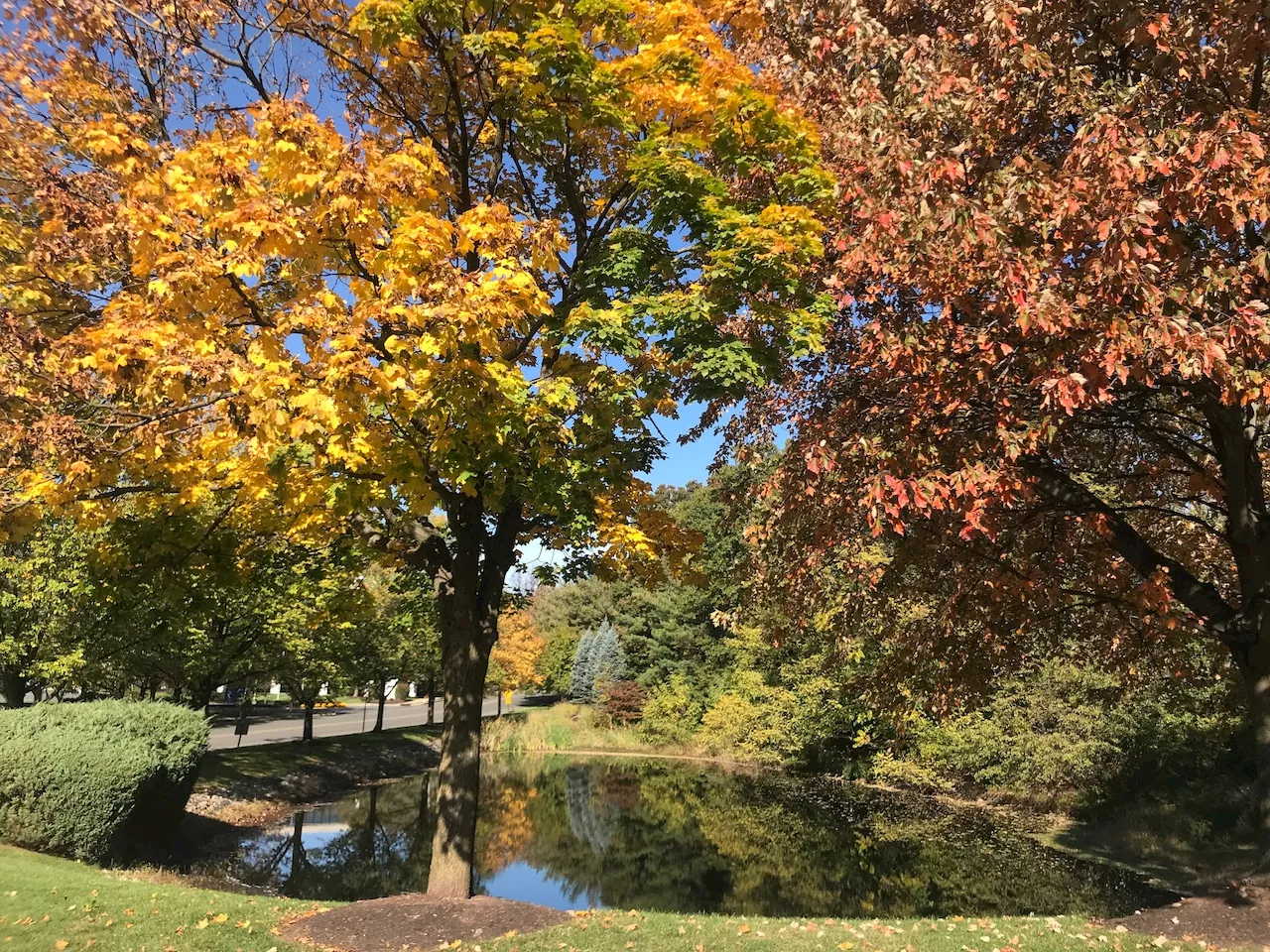 Where to see the best fall foliage colors in N.J. this week. See latest map.