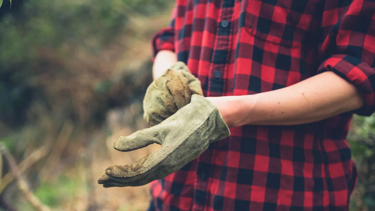 Der Garten nach dem Hochwasser: Tipps zur Wiederherstellung